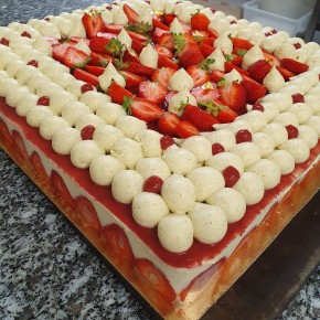 TRAITEUR Fraisier