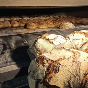 Pain de méteil bio