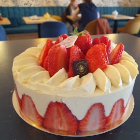 Fraisier TOUTE TAILLE Fraisier TOUTE TAILLE